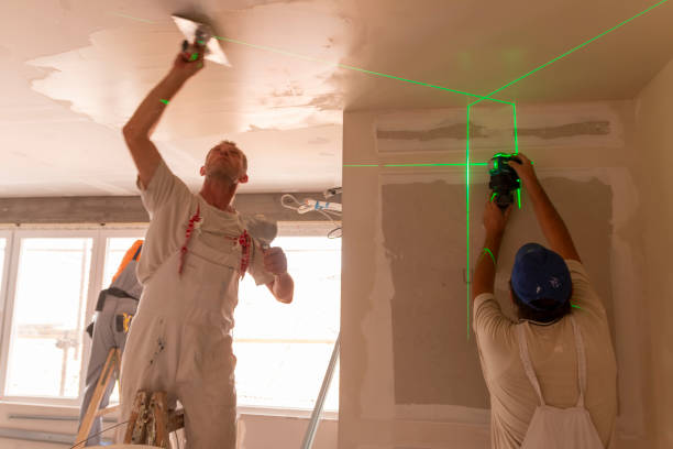 Best Drywall Crack Repair  in Eyota, MN